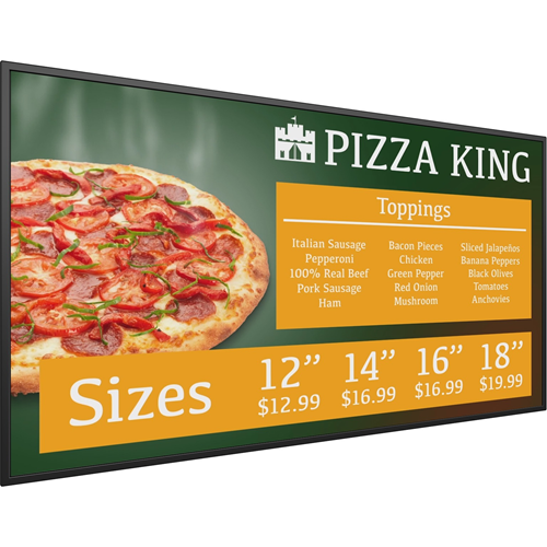 Planar SL4351 Large Format Display