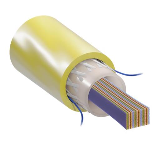 24f Sm Flat Ribbon Plenum