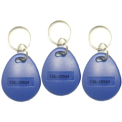 Pach and Company Key Fob