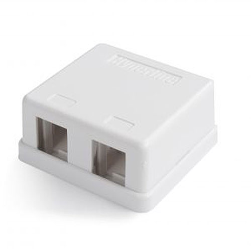 Surface Mnt Box 2-Port Ivy