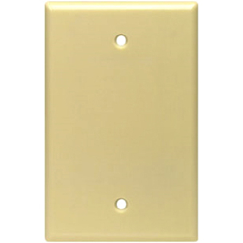 Leviton Blank Faceplate